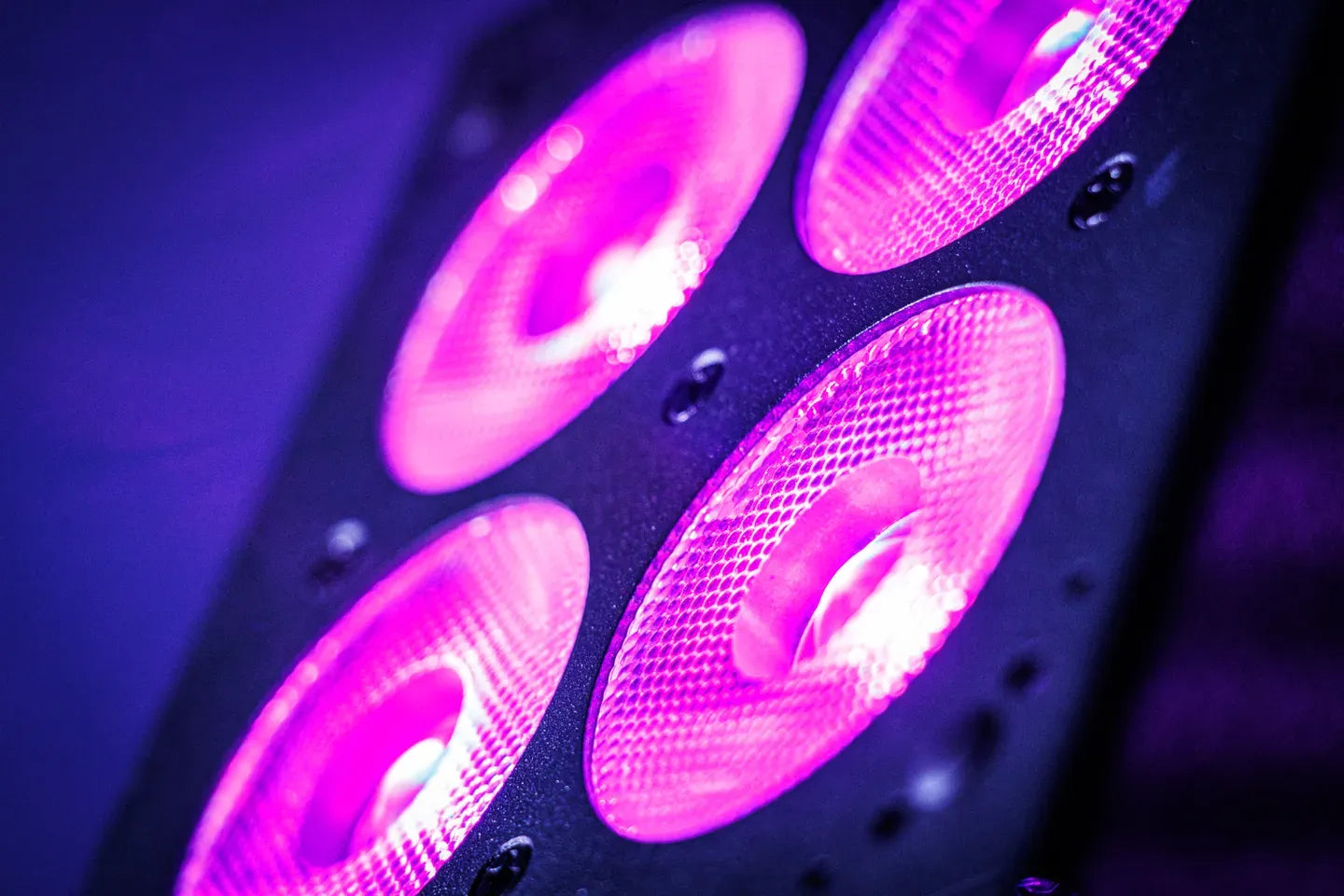 Blizzard Hotbox X4 RGBALC