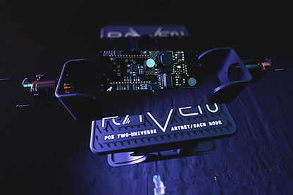 Blizzard Raven