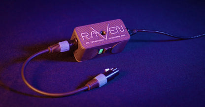 Blizzard Raven
